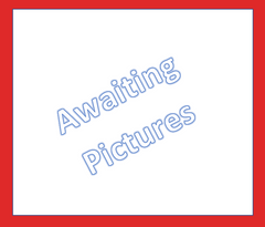 Chicken Biryani - 650ml Container